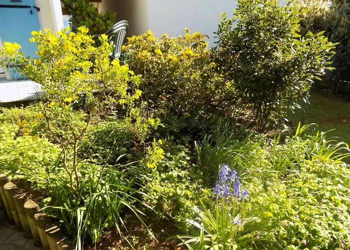 빌라 La Palmyre - Ravissante Maison Mitoyenne - Proximite Centre-ville *